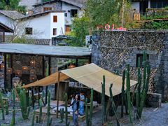 -MOJ coffee(瓯海泽雅水碓坑店)