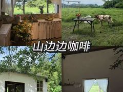 -老李家土菜馆·安吉地标美食