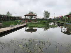 -同銮特种养殖场·龙虾垂钓