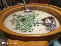 -松沪名灶·豆浆鱼头·新上海菜(飞航吾悦广场店)