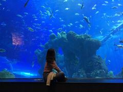 -成都浩海立方海洋公园