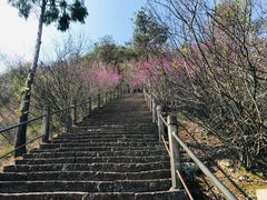 -天台山赤城山景区