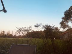 -洪湖家庭农场·团建·露营·会议