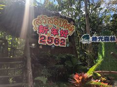 -绿光森林餐厅
