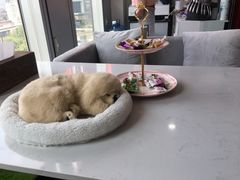-鲸渝眼镜·浅目视光(春熙路店)