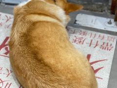 -阿木舂记·特色小吃(平江路店)