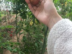 -龙达温泉生态城