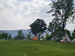 -长田漾湿地公园