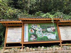 -龙颈河漂流