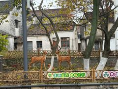 -丝绸小镇荻港古村