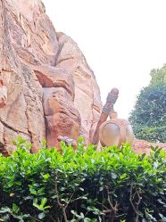 -翱翔飞越地平线