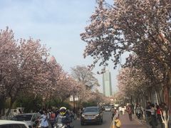 -天津五大道文化旅游区