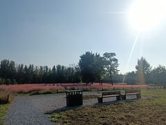 -汉长安城未央宫国家考古遗址公园