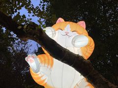 -西安电影制片厂