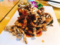 -素虎小呆鸟(西二旗店)