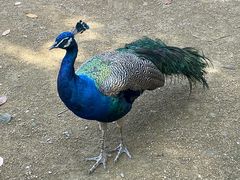 -杭州野生动物世界