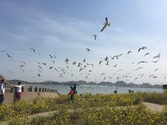 -海驴岛(荣成市)