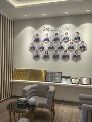 -上海首尔丽格医疗美容医院