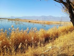 -野鸭湖国家湿地公园