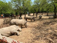 -西安秦岭野生动物园
