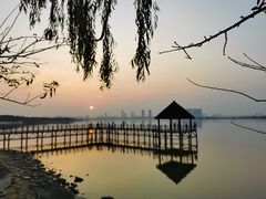 -瑶湖郊野森林公园