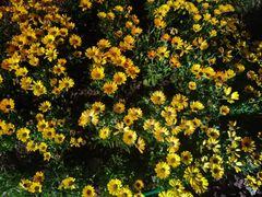 -冰川冷面·延边菜·炭烤串(观前店)