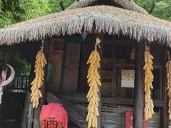 -云南民族村