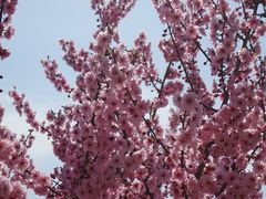 -兴芮温泉度假区