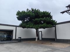 -裕兴记·三虾面(西北街总店)