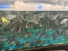 -梦幻海洋王国(吾悦广场张家港店)