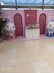 -北京嘉禾妇儿医院