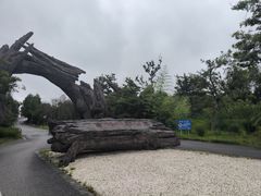 -广富林郊野公园