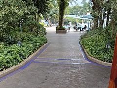 -碧水湾温泉
