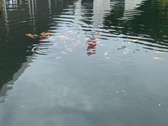 -中国宣纸文化园