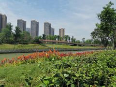 -府河摄影公园