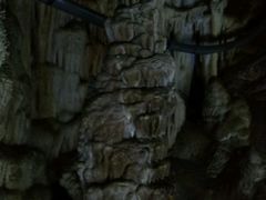 -白洋淀景区