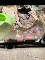 -酷嗒动物文化乐园(cutezoo西溪乐天城店)