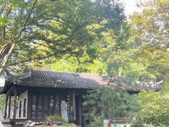 -上海醉白池公园