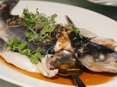 清蒸巴丁鱼-无招牌海鲜餐厅(怡丰城店)