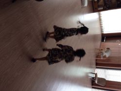 点击看大图 KIDSMEMO拾光纪韩式儿童摄影-KIDSMEMO拾光纪儿童摄影(金丰大厦店)