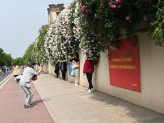 -荣昌花园