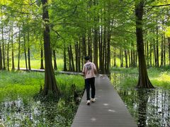 -溱湖国家湿地公园