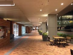 -香港大学