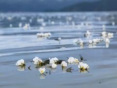 -丽江泸沽湖景区