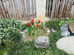 -韩家大院生态农庄