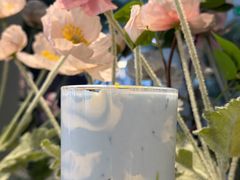 宫崎骏的夏天-LA JOLLA 墨西哥餐厅(学院路店)