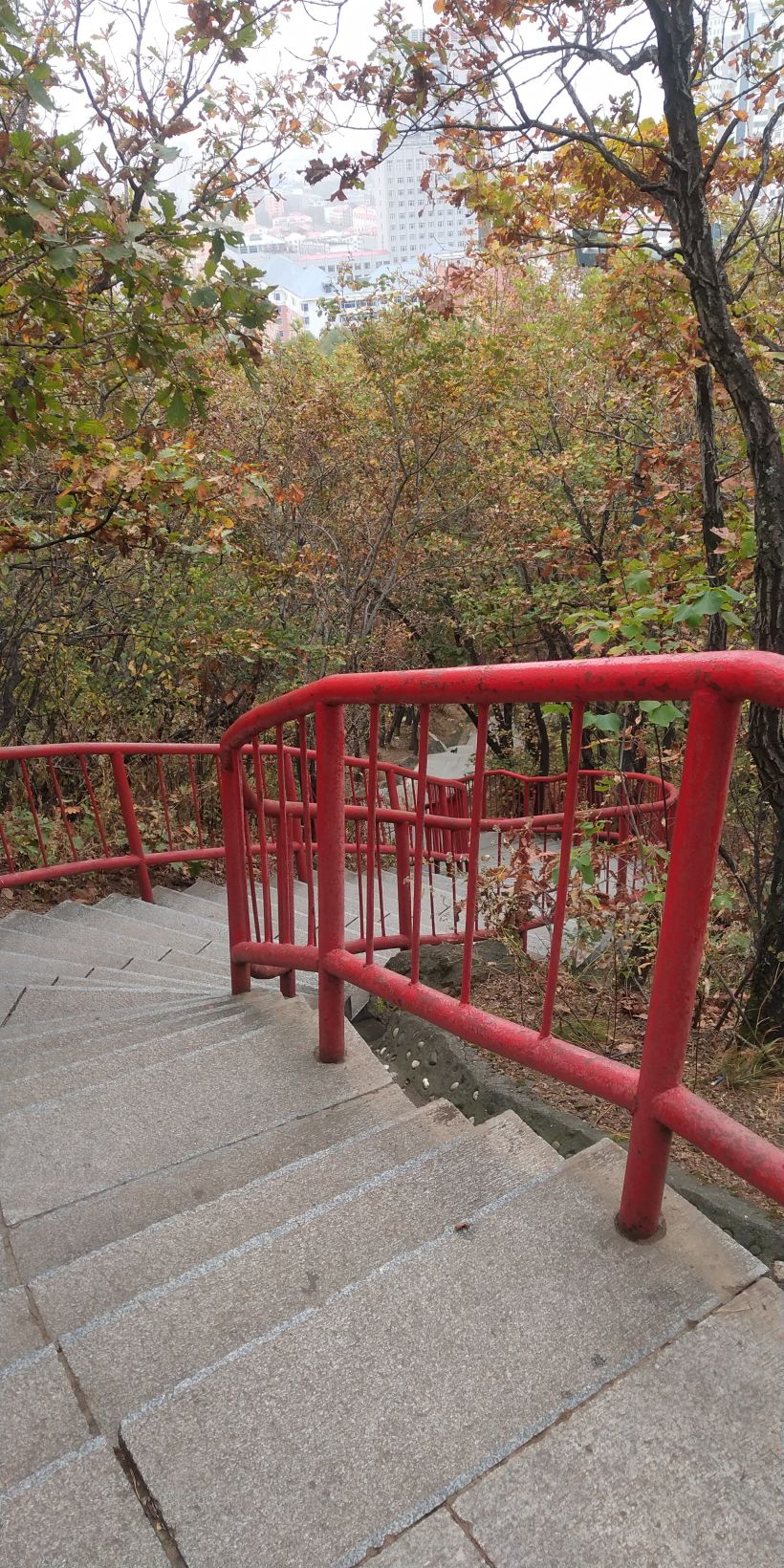 七台河市～桃山公园