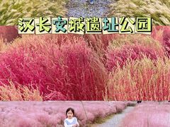 -汉长安城未央宫国家考古遗址公园