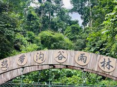 -西双版纳原始森林公园