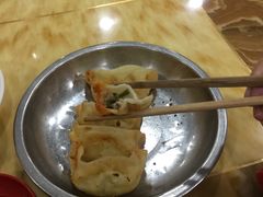 向群锅饺-向群锅饺(登高路店)